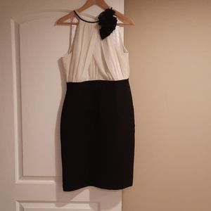 Sleeveless Ann Taylor Dress